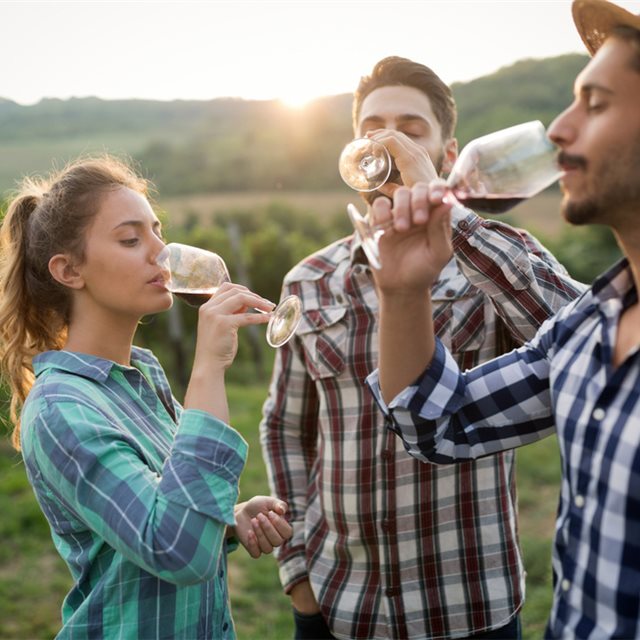 6 experiencias en torno al vino que no te puedes perder