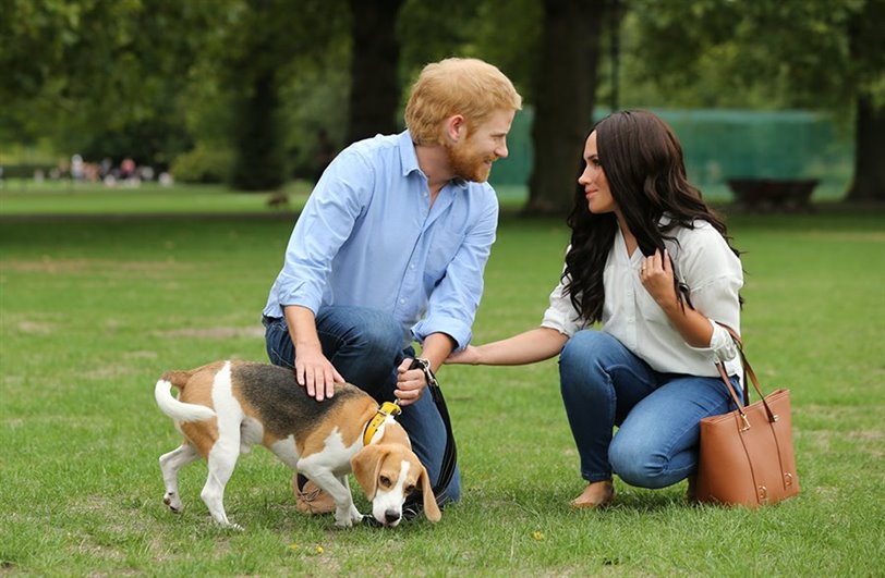 Meghan Markle y el principe Harry paseando a un perro