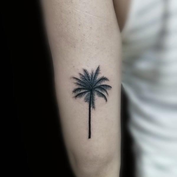jonathanmartinez9254 instagram palmera tattoo