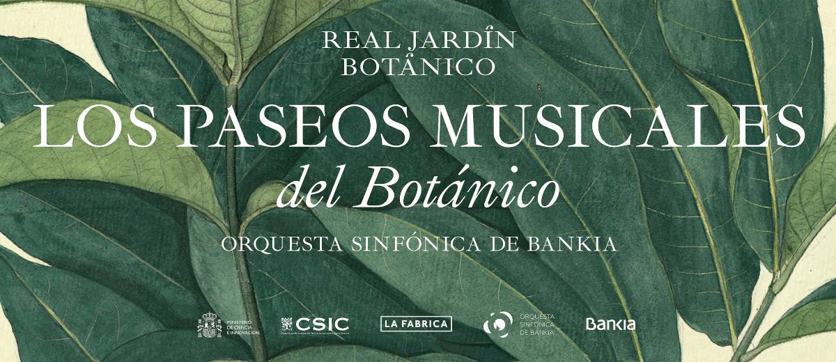 PASEOS MUSICALES POR EL BOTÁNICO (MADRID)(1). PASEOS MUSICALES POR EL BOTÁNICO (MADRID)