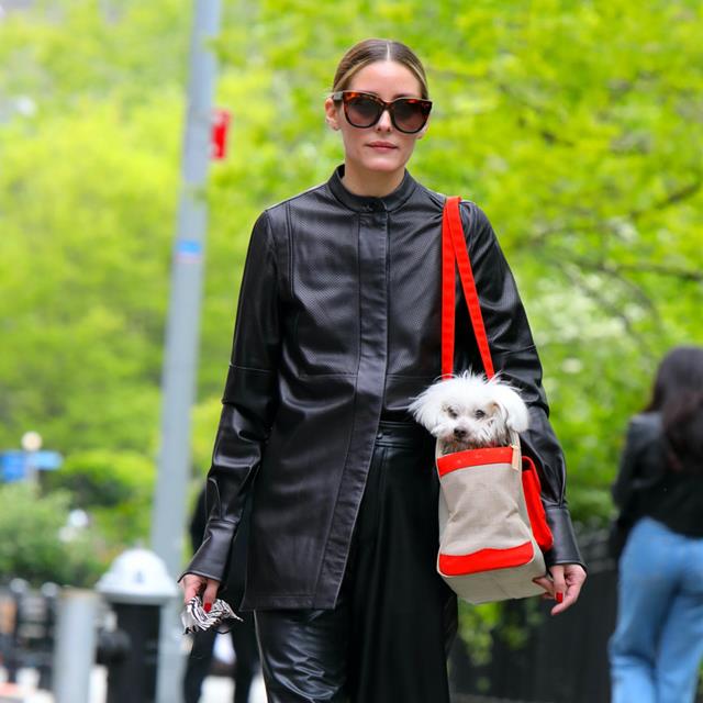 Hasta la mismísima Olivia Palermo llevaría este bolso negro de Zara que cuesta menos de 6 euros para pasear a Mr. Butler