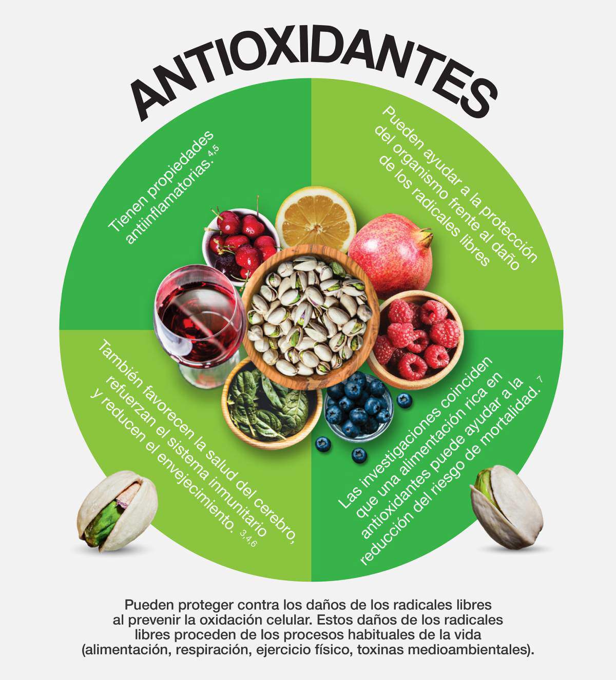 Propiedades antioxidantes pistachos americanos