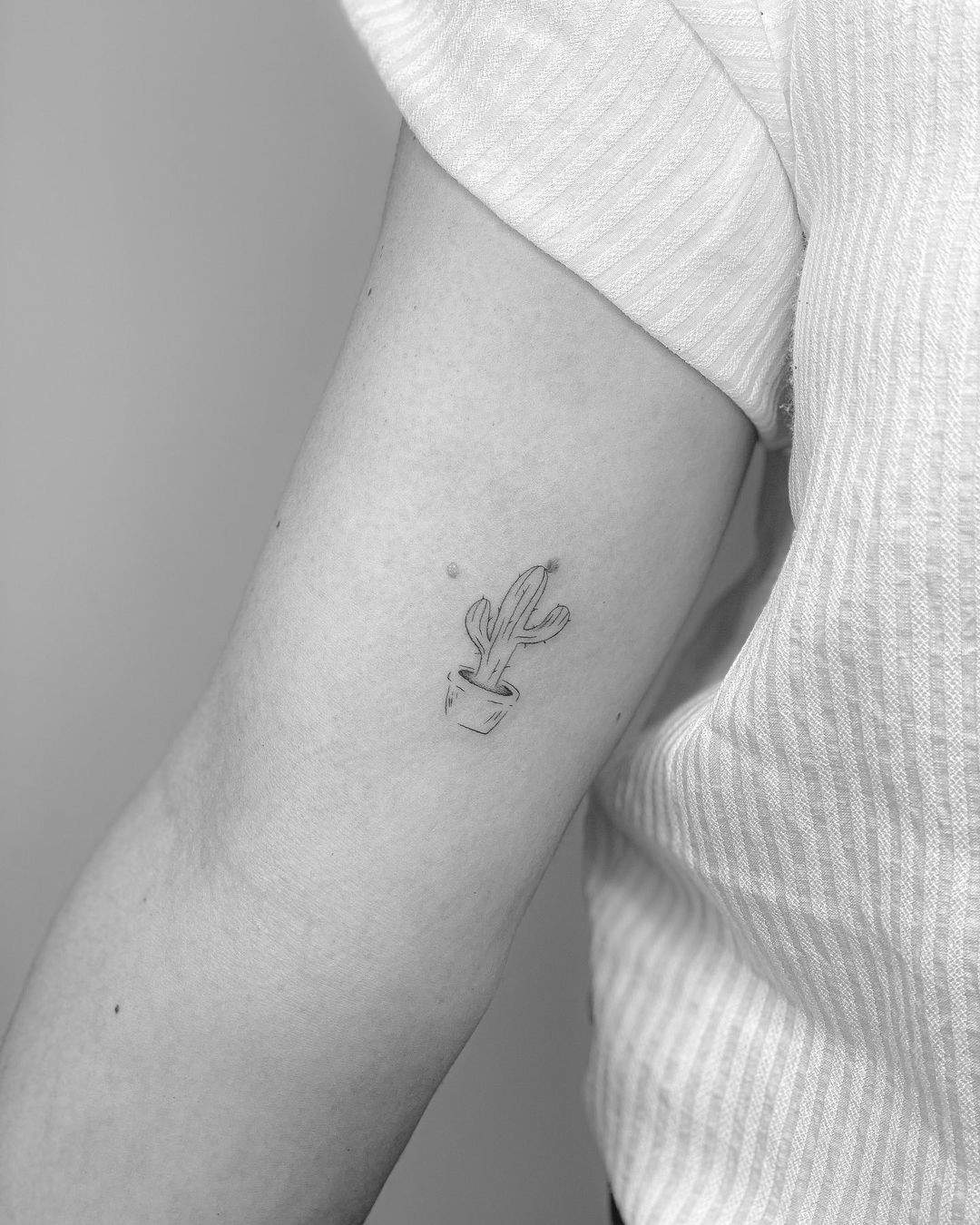 Tatuaje de un cactus con maceta en el brazo