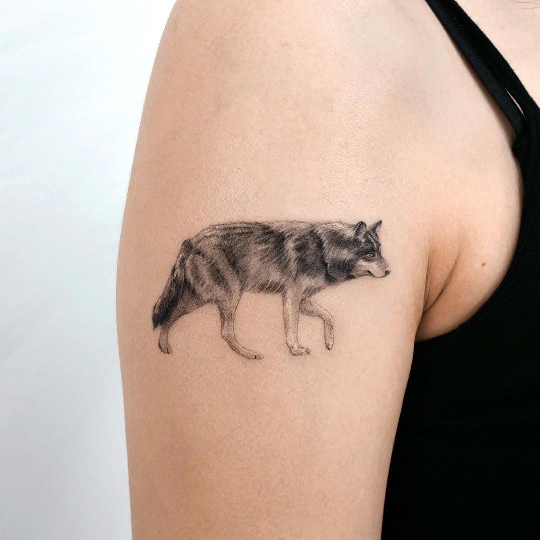 Tatuaje en el brazo de lobo realista y pequeño