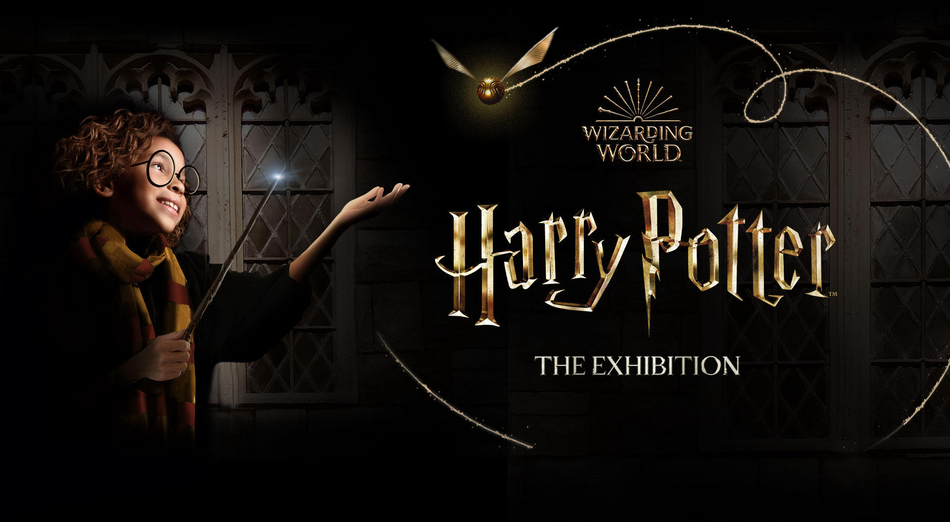 Harry Potter. The Exhibition